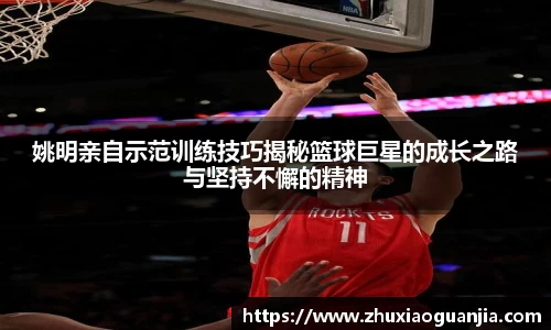 yy易游体育